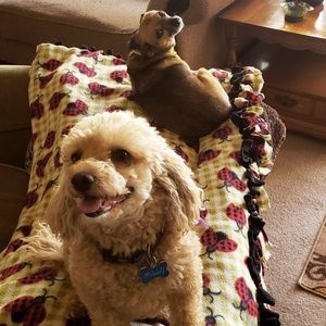 Meet your Posher, Julian